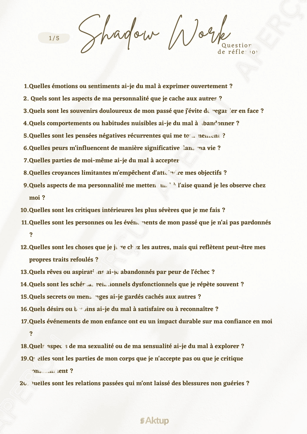 Aperçu du PDF Shadow Work